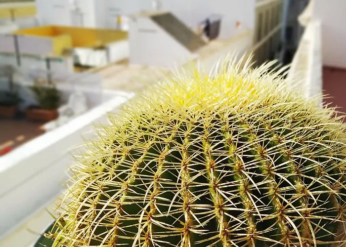 Spanish Galleon Locanda Cadice