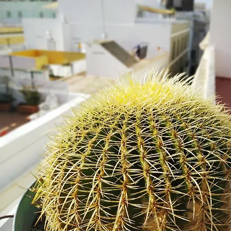 Spanish Galleon 宾馆 加的斯